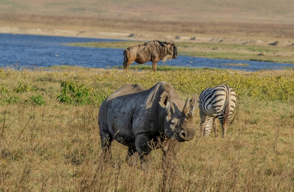 Ngorongoro Conservation Area